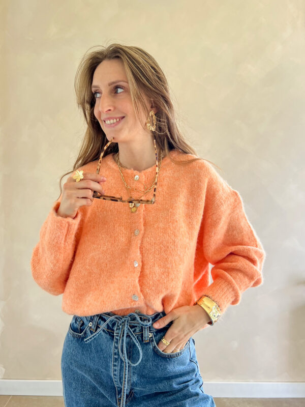 Lily cardigan oranje