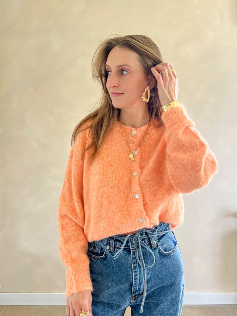 Lily cardigan oranje - Afbeelding 5